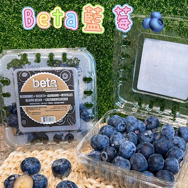 Beta藍莓